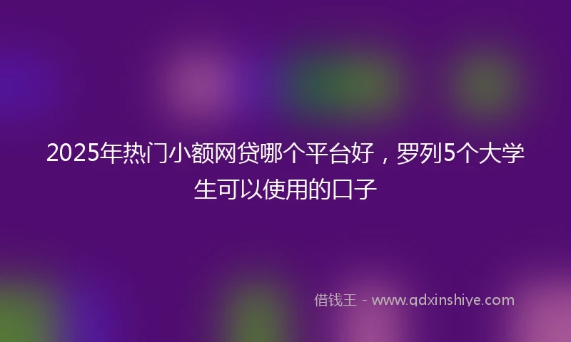 2025年热门小额网贷哪个平台好，罗列5个大学生可以使用的口子