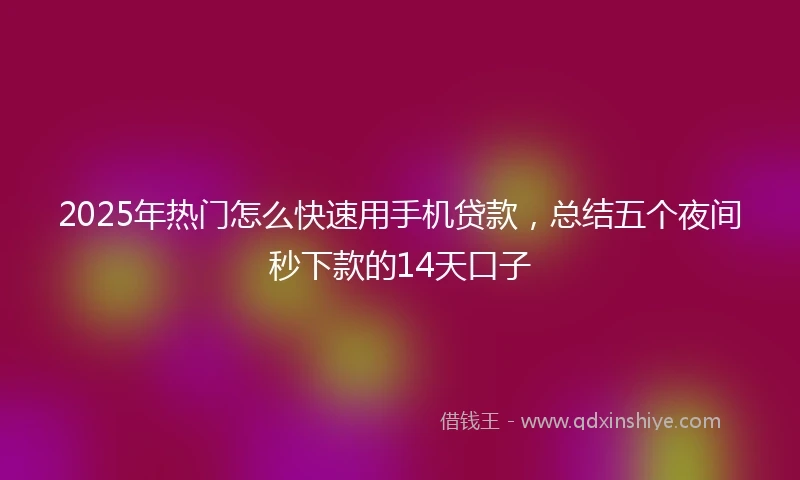 2025年热门怎么快速用手机贷款，总结五个夜间秒下款的14天口子