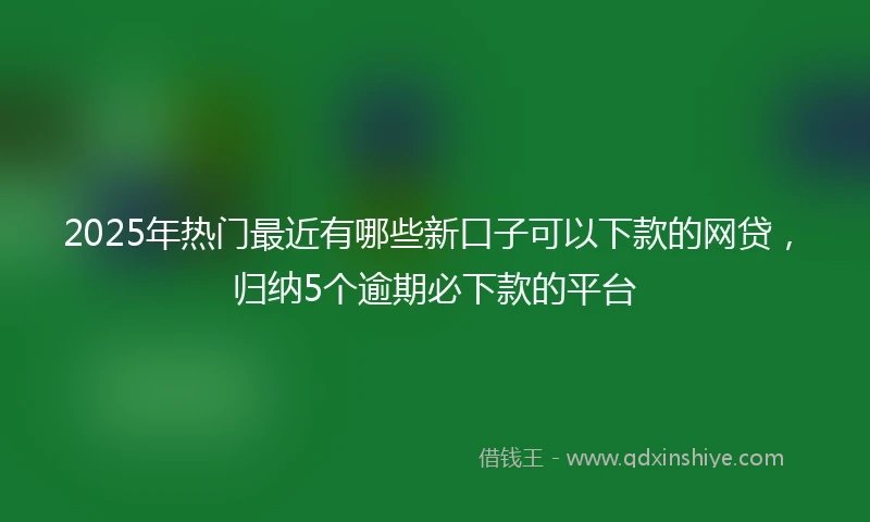 2025年热门最近有哪些新口子可以下款的网贷，归纳5个逾期必下款的平台