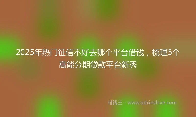 2025年热门征信不好去哪个平台借钱，梳理5个高能分期贷款平台新秀