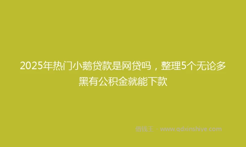 2025年热门小鹅贷款是网贷吗，整理5个无论多黑有公积金就能下款