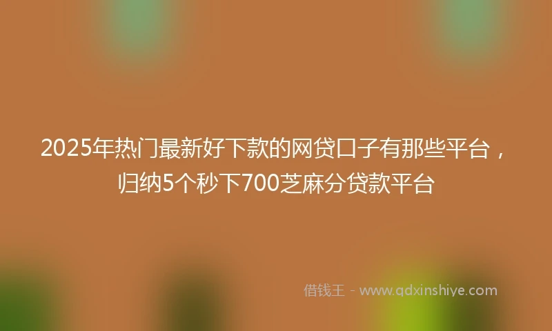 2025年热门最新好下款的网贷口子有那些平台，归纳5个秒下700芝麻分贷款平台