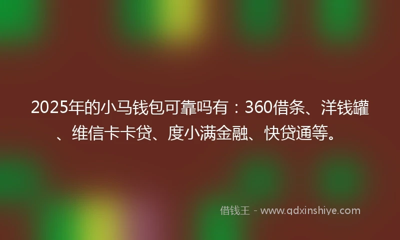 2025年的小马钱包可靠吗有：360借条、洋钱罐、维信卡卡贷、度小满金融、快贷通等。