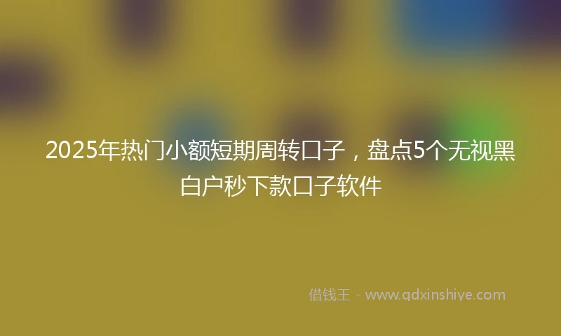 2025年热门小额短期周转口子，盘点5个无视黑白户秒下款口子软件