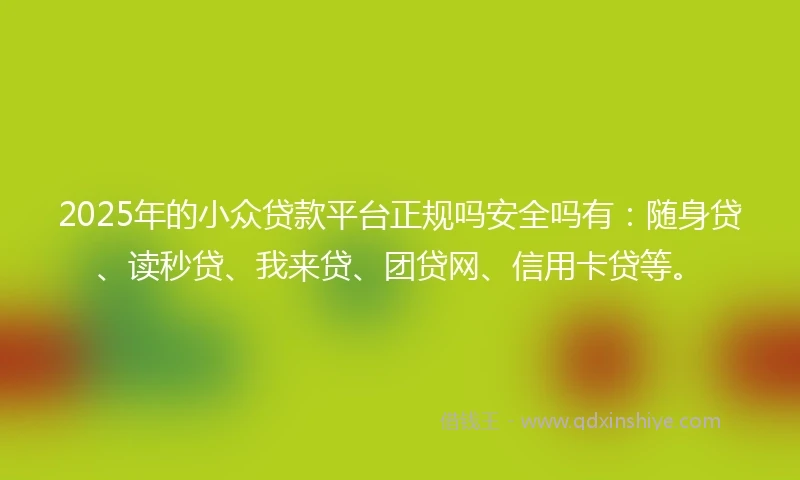 2025年的小众贷款平台正规吗安全吗有:随身贷、读秒贷、我来贷、团贷网、信用卡贷等。