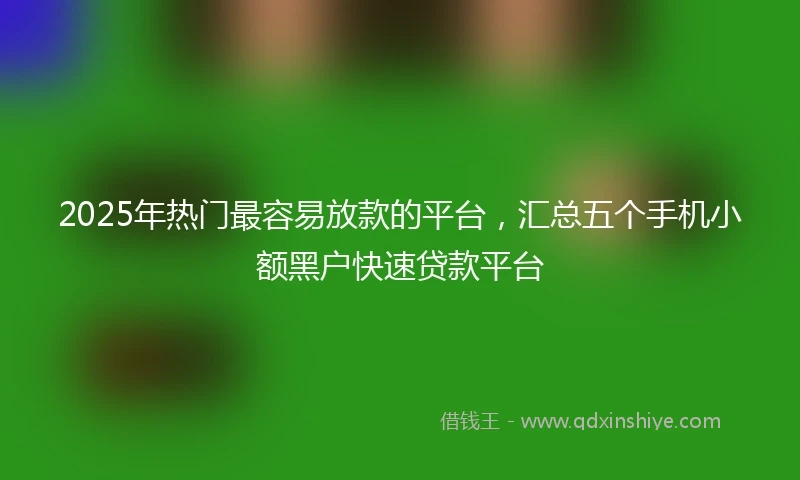 2025年热门最容易放款的平台，汇总五个手机小额黑户快速贷款平台