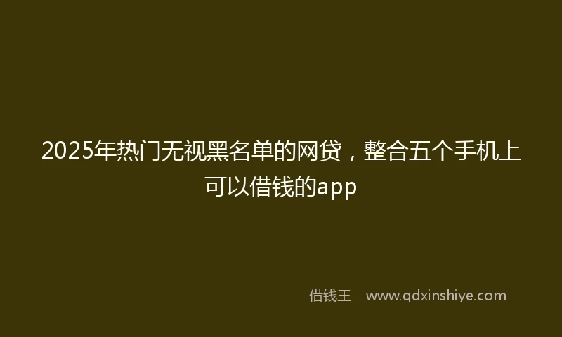 2025年热门无视黑名单的网贷，整合五个手机上可以借钱的app