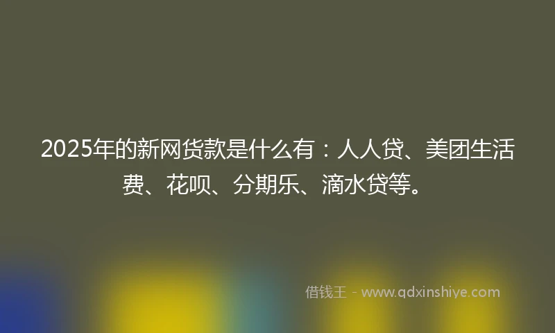 2025年的新网货款是什么有：人人贷、美团生活费、花呗、分期乐、滴水贷等。