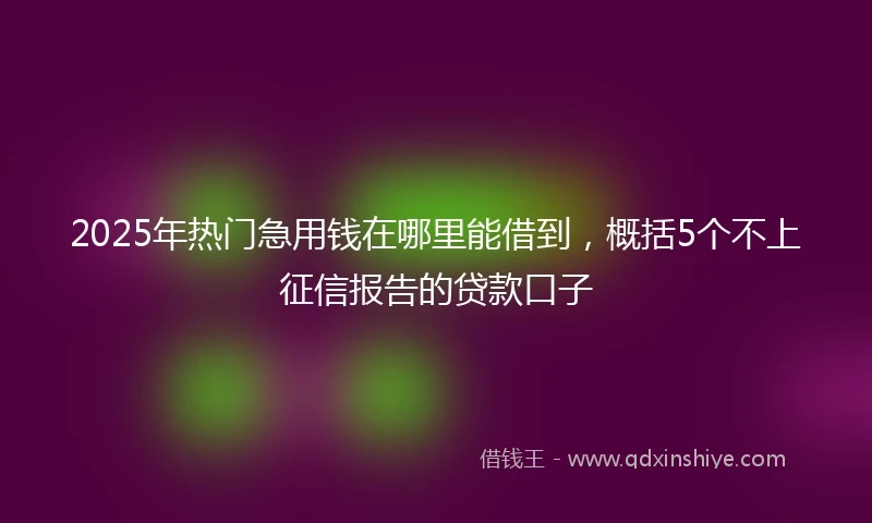 2025年热门急用钱在哪里能借到，概括5个不上征信报告的贷款口子