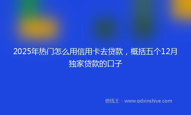 2025年热门怎么用信用卡去贷款，概括五个12月独家贷款的口子
