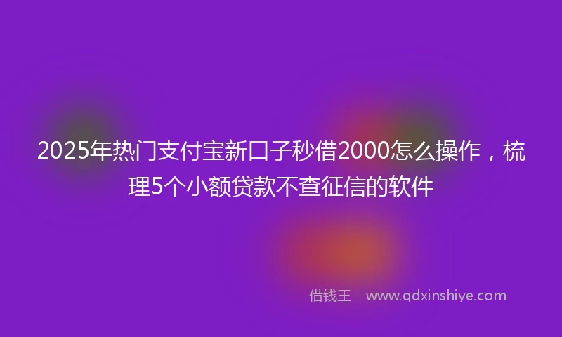 2025年热门支付宝新口子秒借2000怎么操作，梳理5个小额贷款不查征信的软件