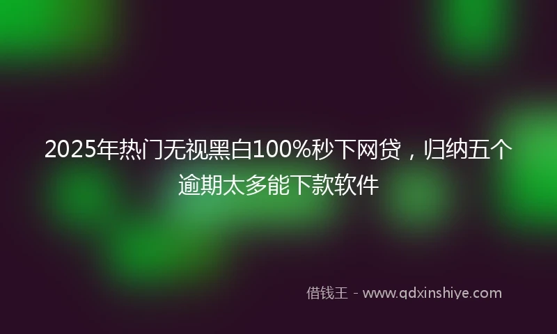 2025年热门无视黑白100%秒下网贷，归纳五个逾期太多能下款软件