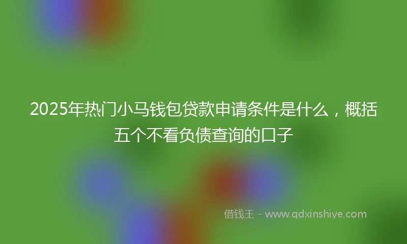 2025年热门小马钱包贷款申请条件是什么，概括五个不看负债查询的口子