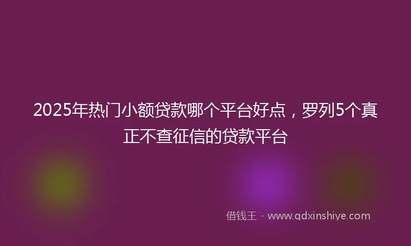 2025年热门小额贷款哪个平台好点，罗列5个真正不查征信的贷款平台
