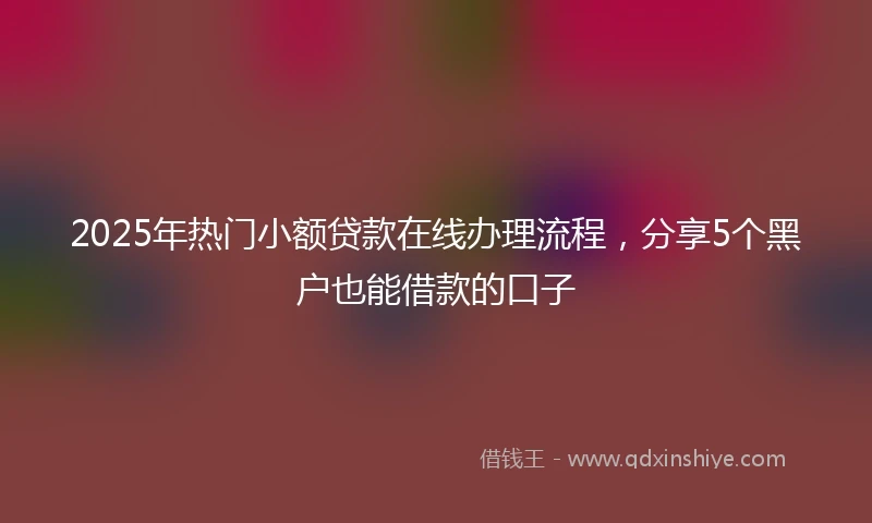 2025年热门小额贷款在线办理流程，分享5个黑户也能借款的口子