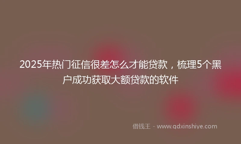 2025年热门征信很差怎么才能贷款，梳理5个黑户成功获取大额贷款的软件