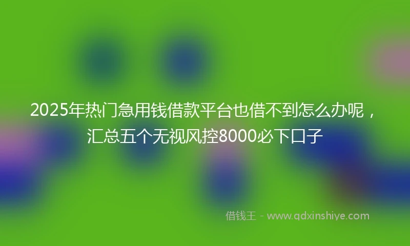 2025年热门急用钱借款平台也借不到怎么办呢，汇总五个无视风控8000必下口子
