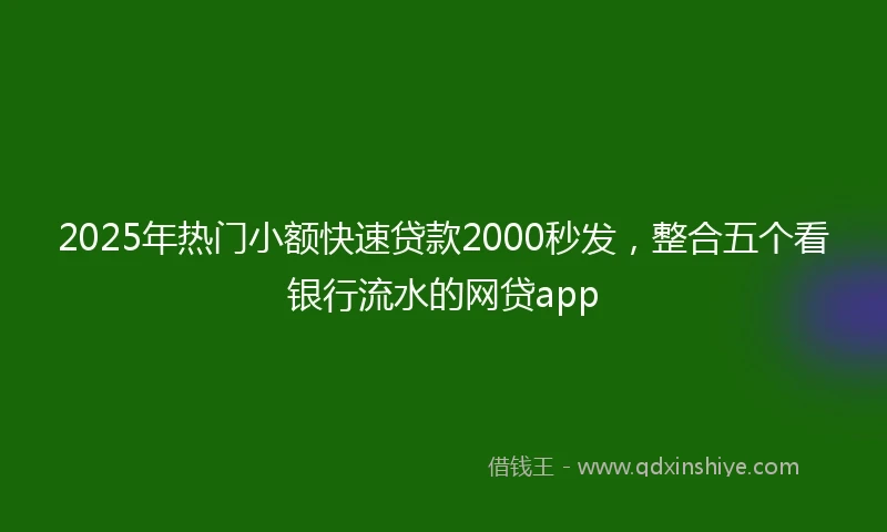 2025年热门小额快速贷款2000秒发，整合五个看银行流水的网贷app