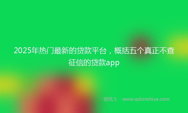 2025年热门最新的贷款平台，概括五个真正不查征信的贷款app