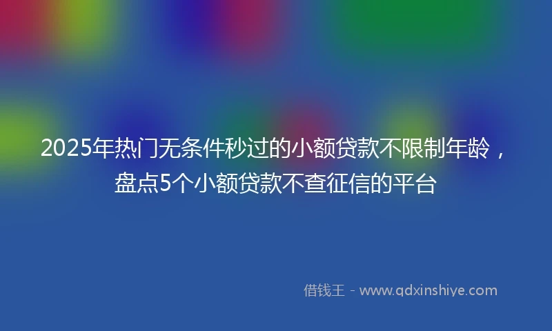 2025年热门无条件秒过的小额贷款不限制年龄，盘点5个小额贷款不查征信的平台