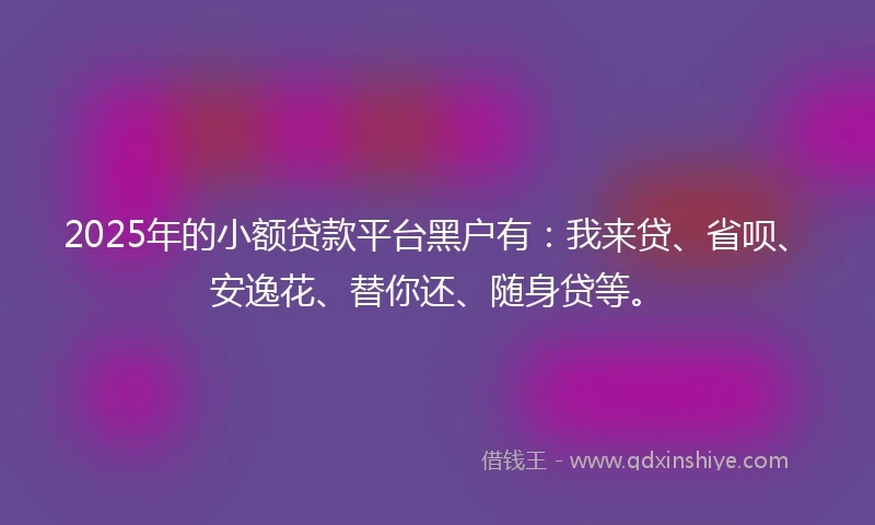 2025年的小额贷款平台黑户有：我来贷、省呗、安逸花、替你还、随身贷等。