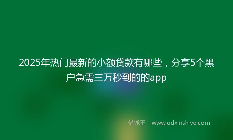 2025年热门最新的小额贷款有哪些，分享5个黑户急需三万秒到的的app