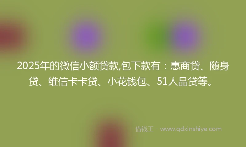 2025年的微信小额贷款,包下款有：惠商贷、随身贷、维信卡卡贷、小花钱包、51人品贷等。