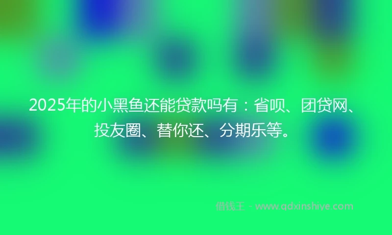 2025年的小黑鱼还能贷款吗有：省呗、团贷网、投友圈、替你还、分期乐等。