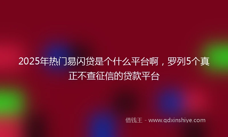 2025年热门易闪贷是个什么平台啊，罗列5个真正不查征信的贷款平台