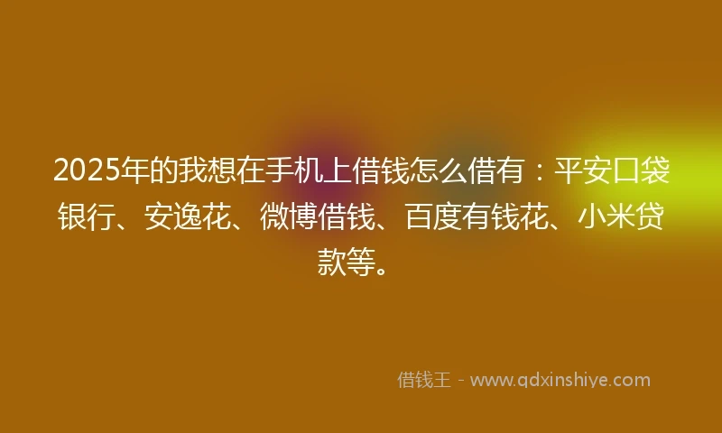 2025年的我想在手机上借钱怎么借有：平安口袋银行、安逸花、微博借钱、百度有钱花、小米贷款等。