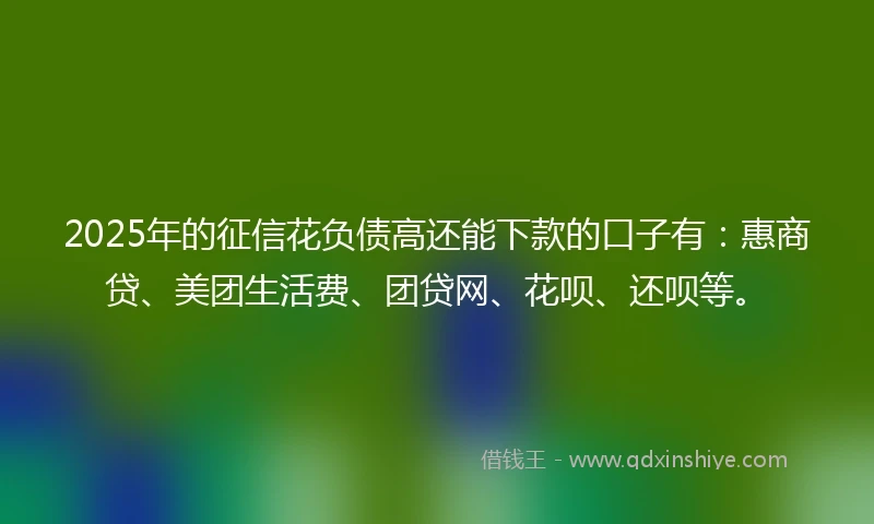 2025年的征信花负债高还能下款的口子有：惠商贷、美团生活费、团贷网、花呗、还呗等。