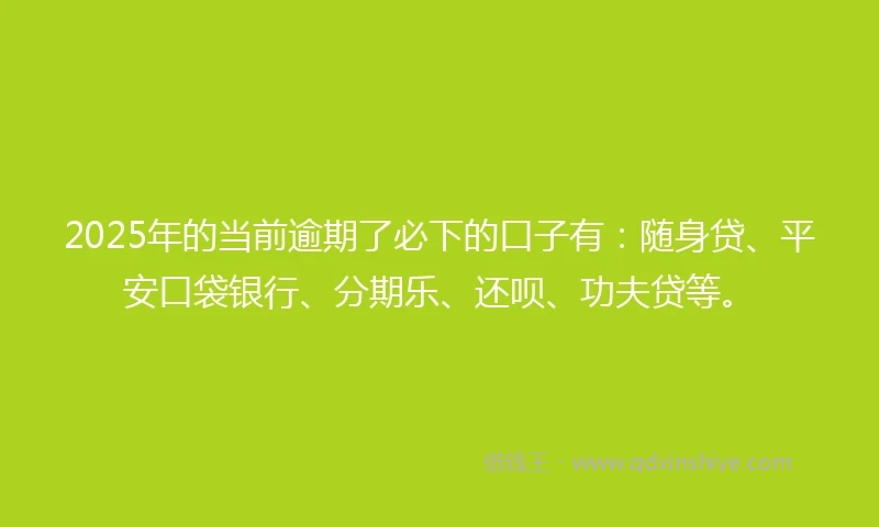 2025年的当前逾期了必下的口子有：随身贷、平安口袋银行、分期乐、还呗、功夫贷等。