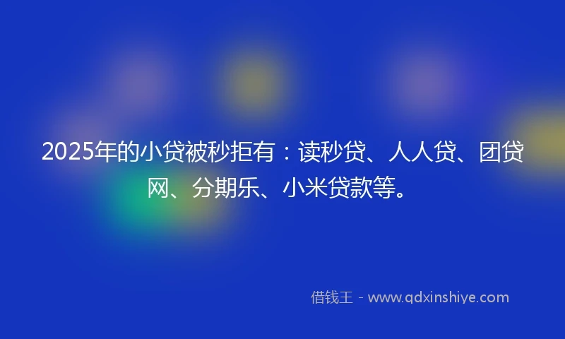 2025年的小贷被秒拒有：读秒贷、人人贷、团贷网、分期乐、小米贷款等。