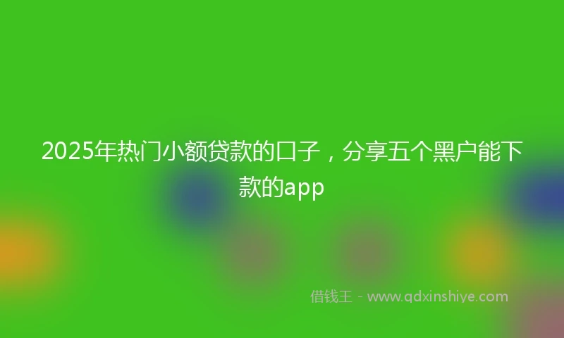 2025年热门小额贷款的口子，分享五个黑户能下款的app