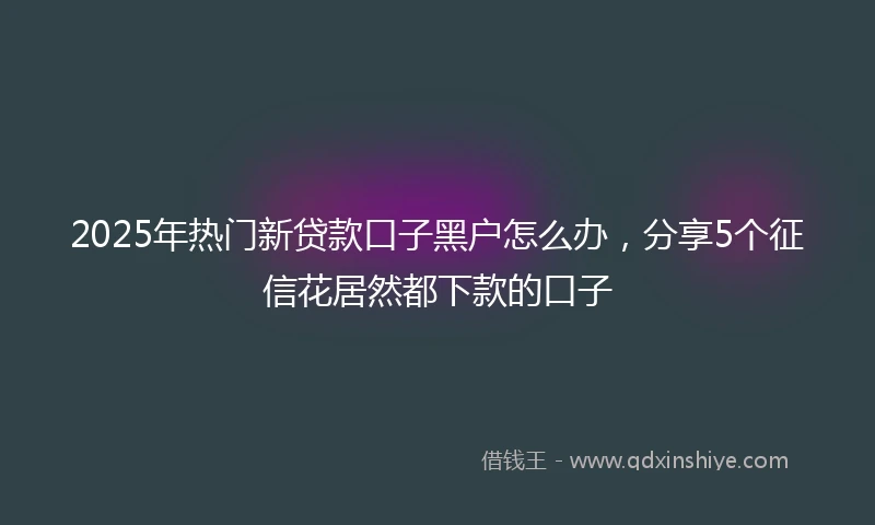 2025年热门新贷款口子黑户怎么办，分享5个征信花居然都下款的口子