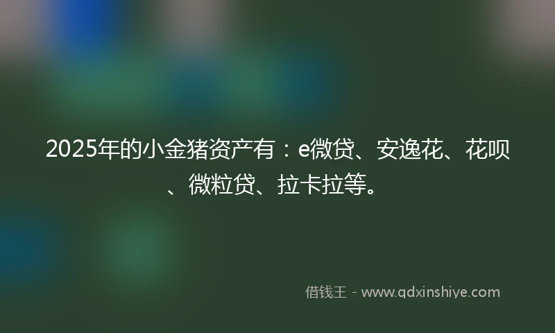 2025年的小金猪资产有：e微贷、安逸花、花呗、微粒贷、拉卡拉等。