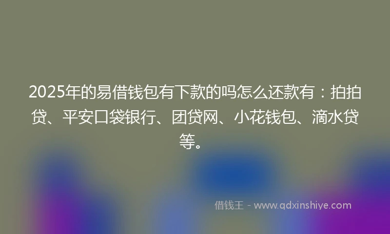2025年的易借钱包有下款的吗怎么还款有：拍拍贷、平安口袋银行、团贷网、小花钱包、滴水贷等。