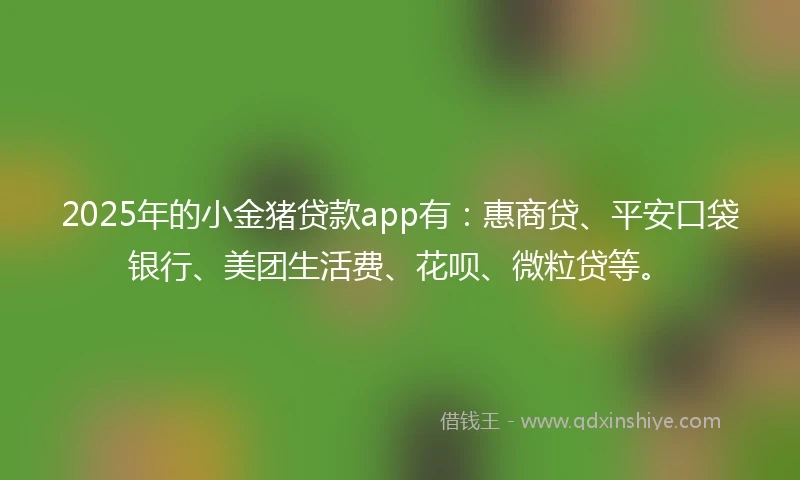 2025年的小金猪贷款app有：惠商贷、平安口袋银行、美团生活费、花呗、微粒贷等。
