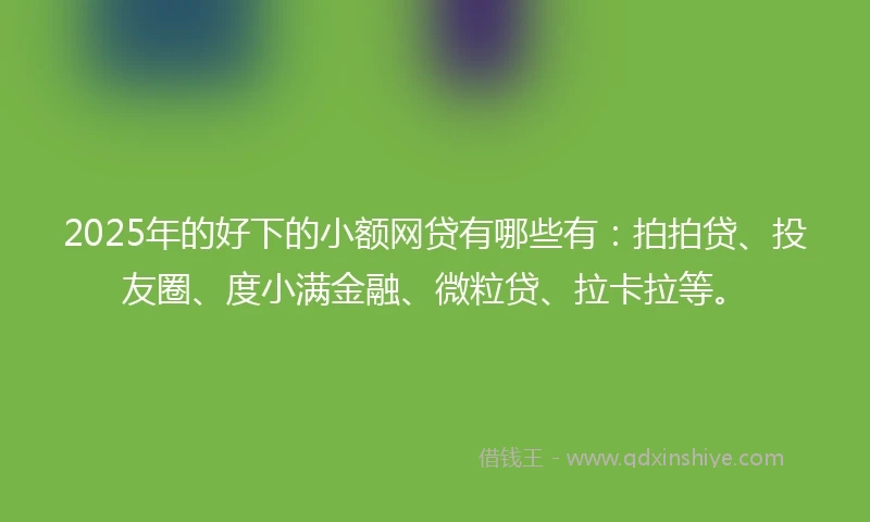 2025年的好下的小额网贷有哪些有:拍拍贷、投友圈、度小满金融、微粒贷、拉卡拉等。