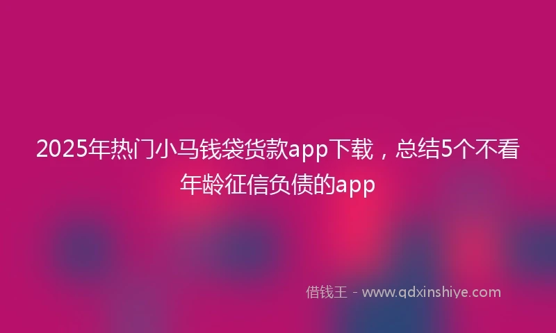 2025年热门小马钱袋货款app下载，总结5个不看年龄征信负债的app