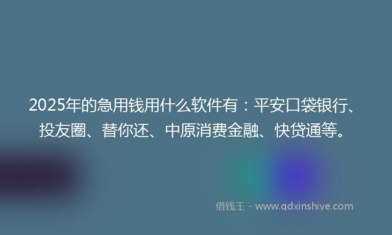 2025年的急用钱用什么软件有：平安口袋银行、投友圈、替你还、中原消费金融、快贷通等。