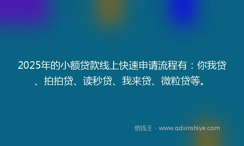 2025年的小额贷款线上快速申请流程有：你我贷、拍拍贷、读秒贷、我来贷、微粒贷等。