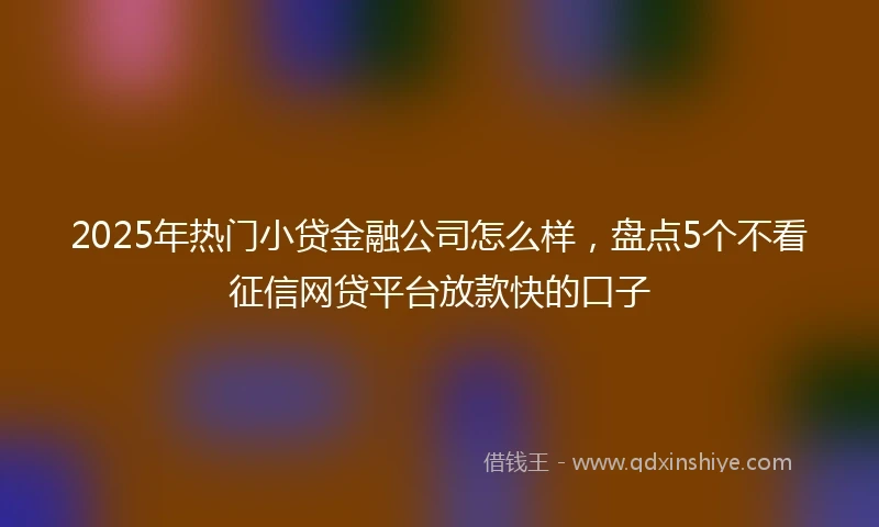 2025年热门小贷金融公司怎么样，盘点5个不看征信网贷平台放款快的口子