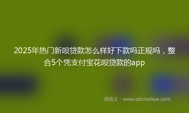 2025年热门新呗贷款怎么样好下款吗正规吗，整合5个凭支付宝花呗贷款的app