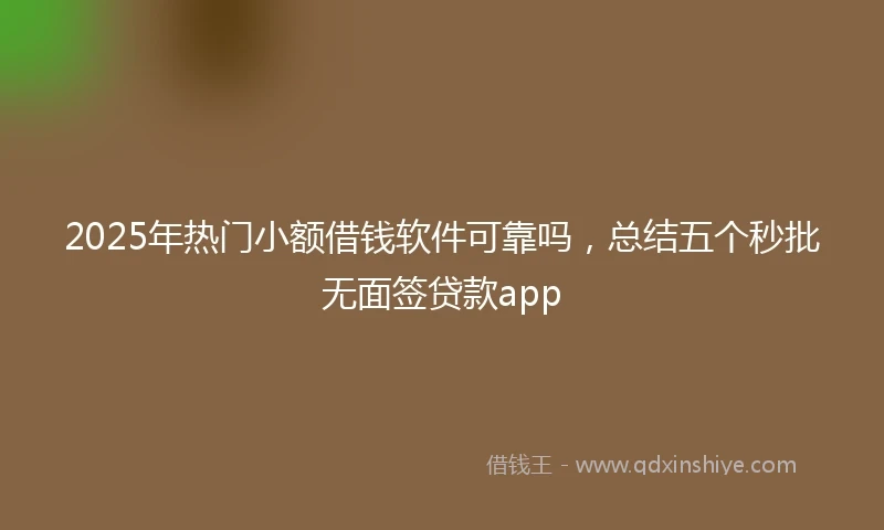 2025年热门小额借钱软件可靠吗，总结五个秒批无面签贷款app