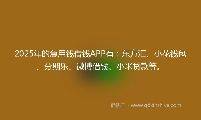 2025年的急用钱借钱APP有：东方汇、小花钱包、分期乐、微博借钱、小米贷款等。