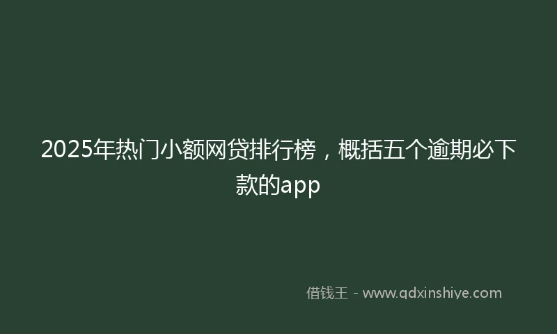 2025年热门小额网贷排行榜，概括五个逾期必下款的app