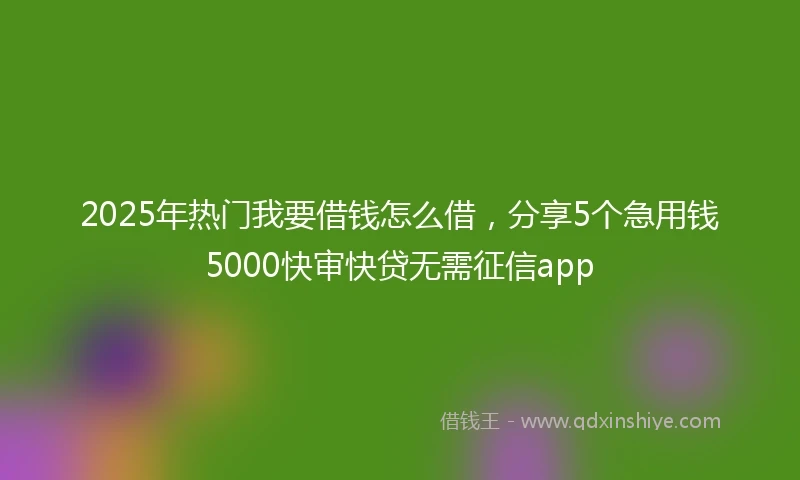 2025年热门我要借钱怎么借，分享5个急用钱5000快审快贷无需征信app