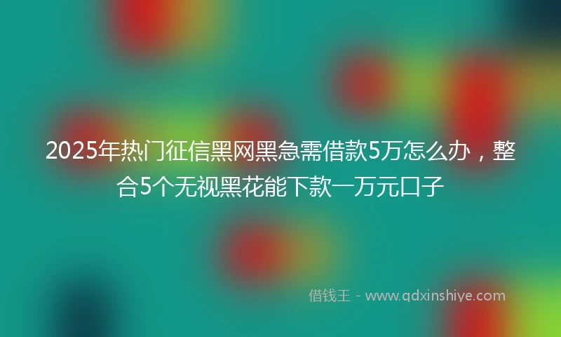 2025年热门征信黑网黑急需借款5万怎么办,整合5个无视黑花能下款一万元口子