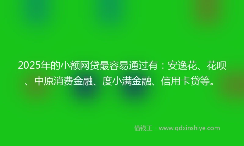 2025年的小额网贷最容易通过有：安逸花、花呗、中原消费金融、度小满金融、信用卡贷等。